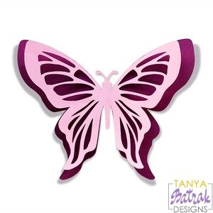Double-Layer Butterfly