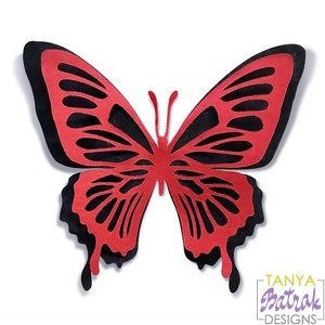 Double-Layer Butterfly