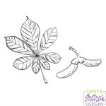 Chestnut Leaf Sketche svg
