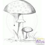 Two Fly Agaric Sketch svg