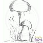 Two Mushrooms Sketch