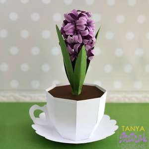3D Hyacinth In A Cup Box
